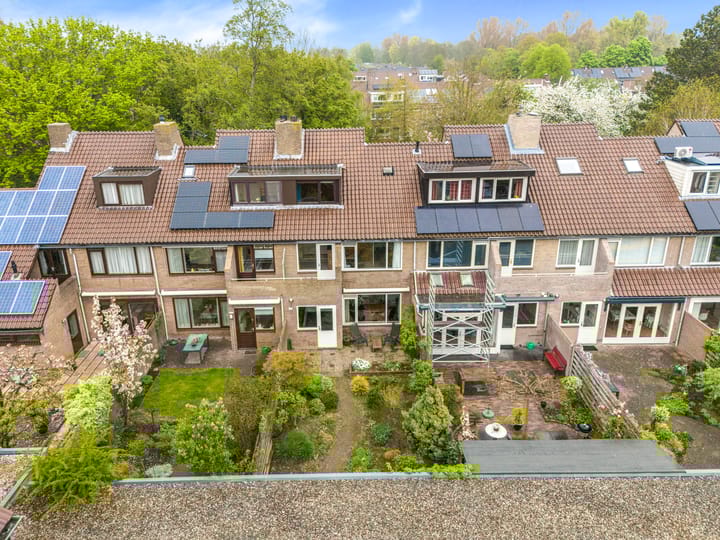 Foto 47 van Vleugeltjesbloem 16