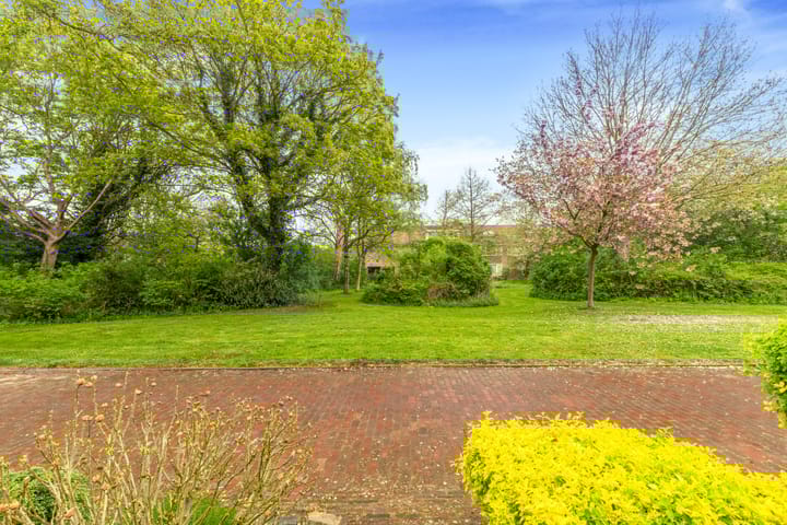 Foto 50 van Vleugeltjesbloem 16