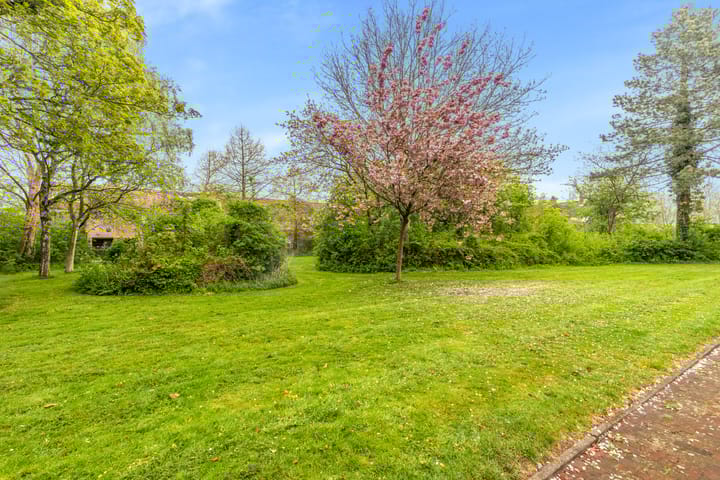 Foto 51 van Vleugeltjesbloem 16