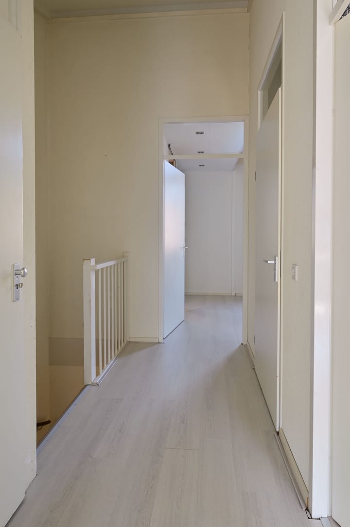 Foto 12 van Brancusistraat 12