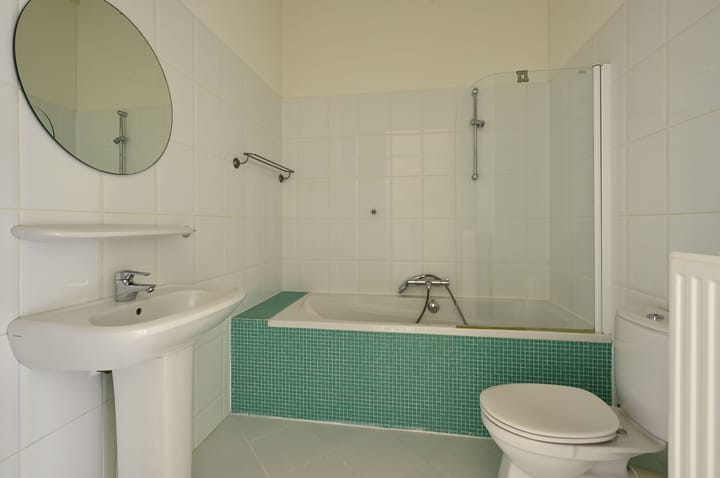 Foto 18 van Brancusistraat 12