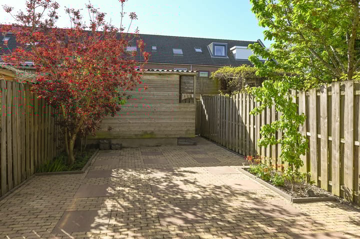 Foto 22 van Brancusistraat 12