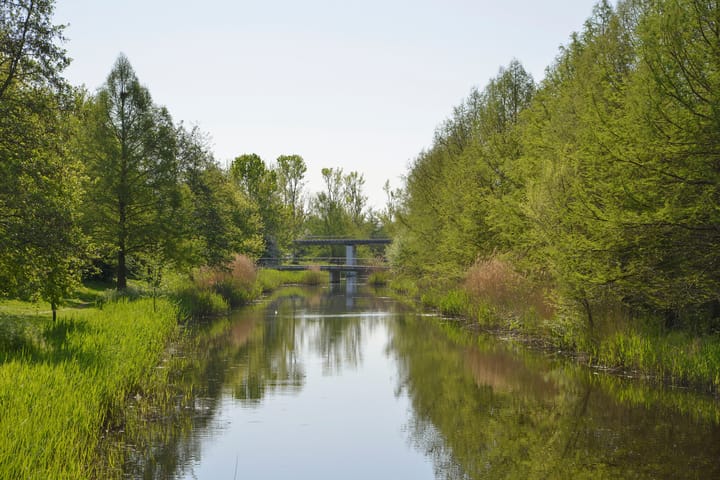 Foto 26 van Brancusistraat 12