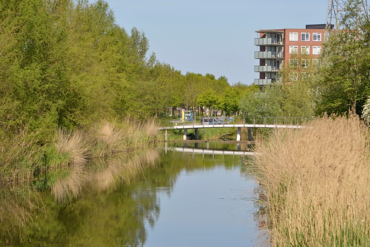 Foto 27 van Brancusistraat 12