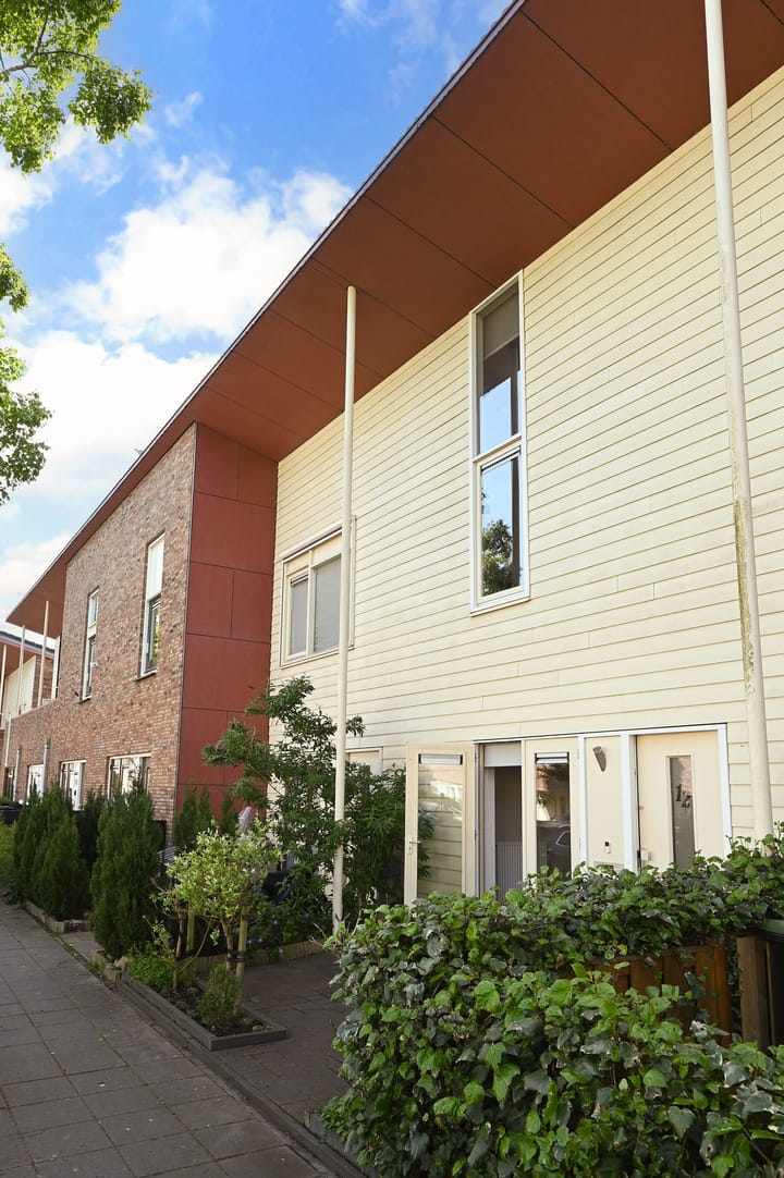 Foto 28 van Brancusistraat 12