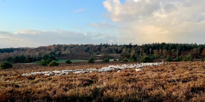 Foto 8 van De Grave - kavel 61