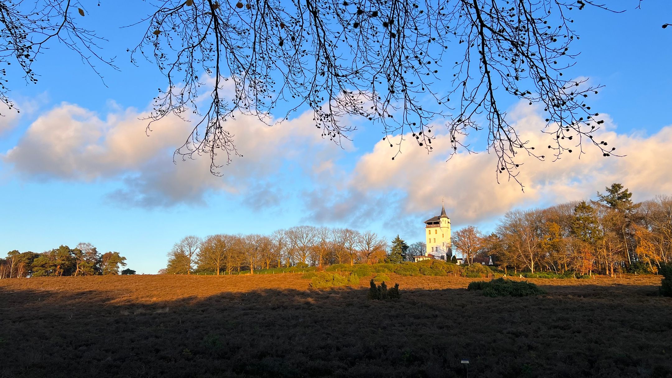 Photo 9 of De Grave - kavel 61