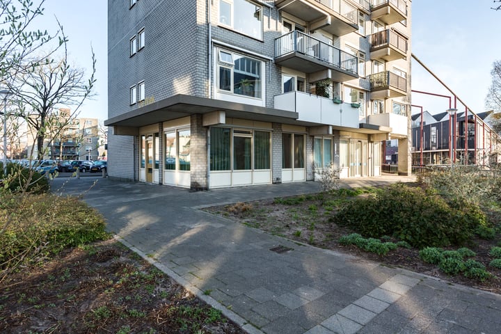 Molenvlietbrink 307, Woerden