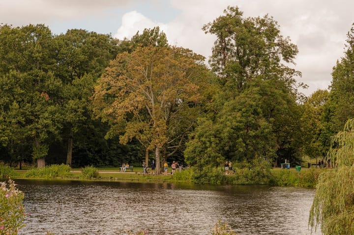 Photo 26 of Lomanstraat 71-B