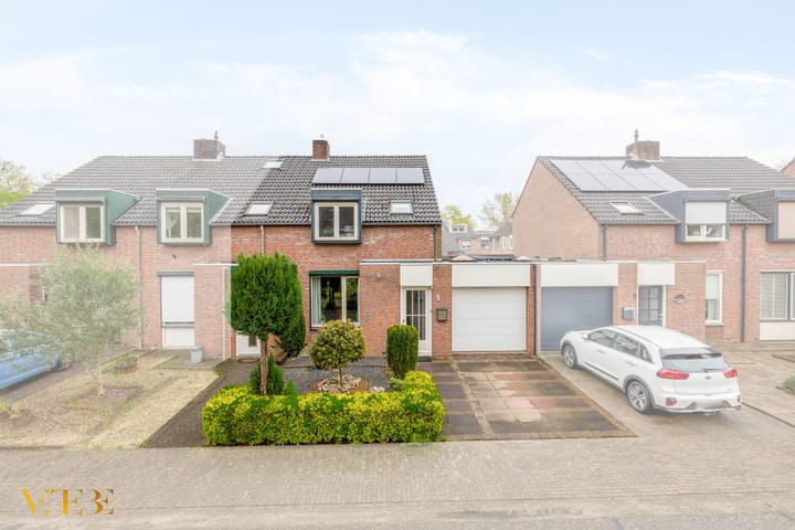 Donkesven 5