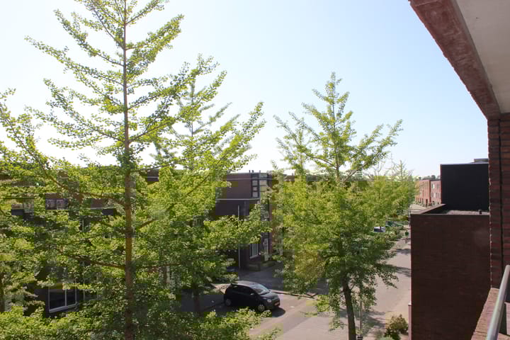 Foto 5 van Rijsenborch 275