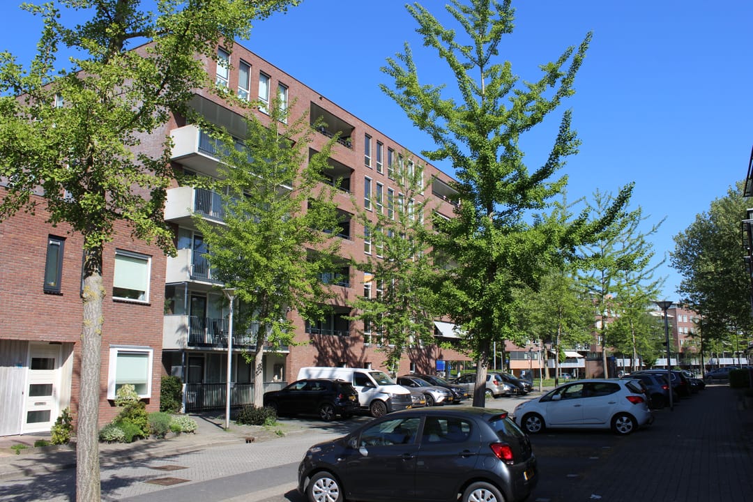 Foto 7 van Rijsenborch 275