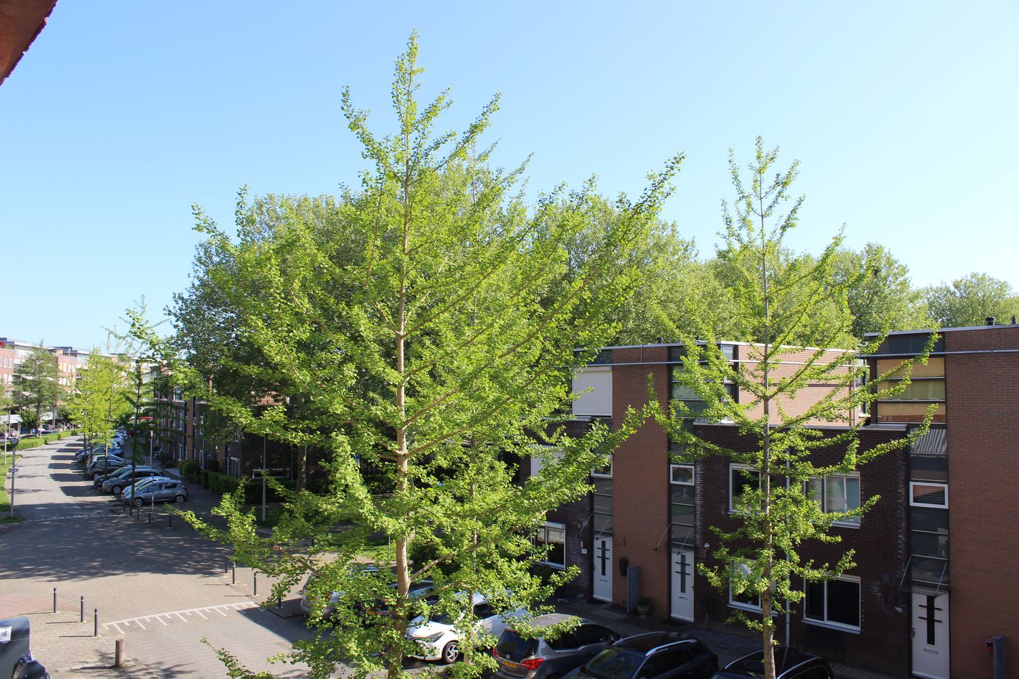 Foto 20 van Rijsenborch 275