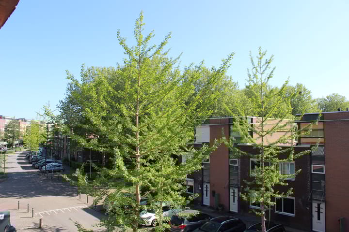 Foto 20 van Rijsenborch 275