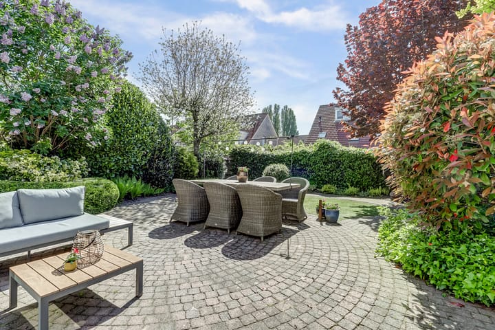 Foto 35 van Meidoorn 35