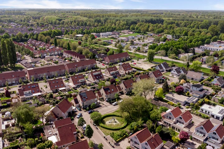 Foto 45 van Meidoorn 35