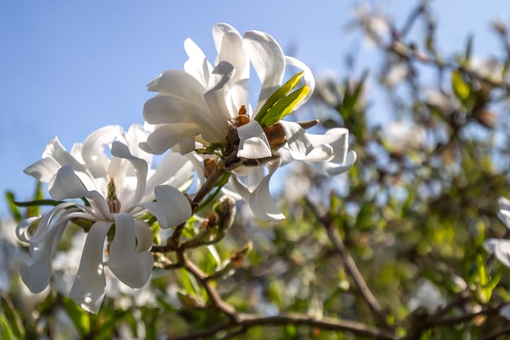 Foto 59 van Oostsingel 14