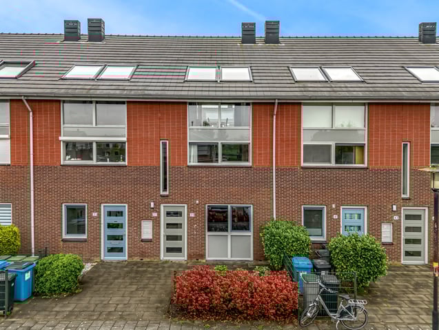 undefined main image