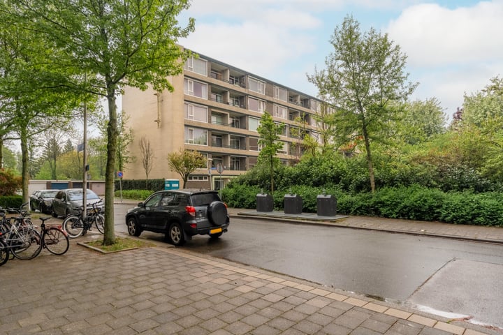 Fruinplantsoen 81