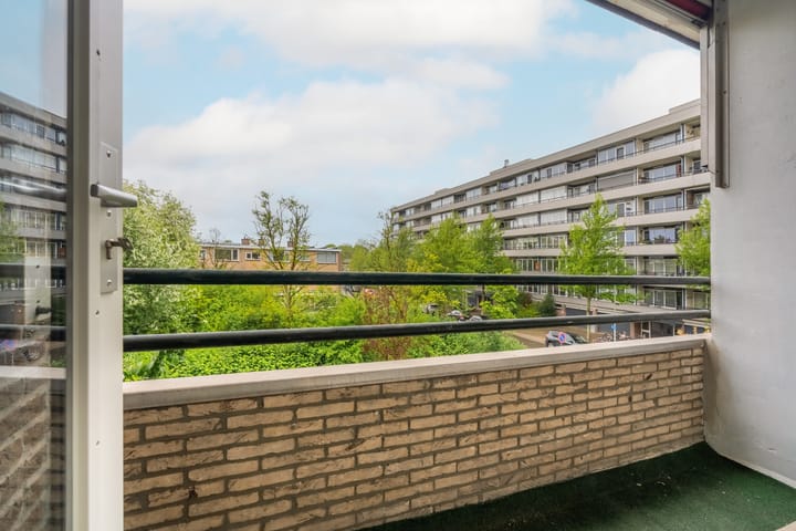 Foto 11 van Fruinplantsoen 81