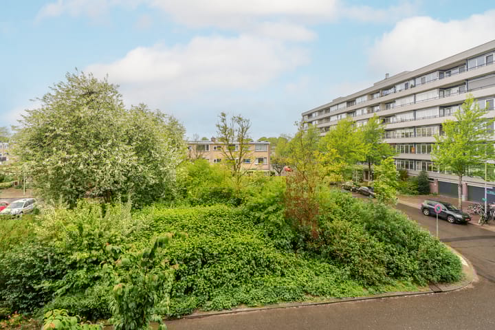 Foto 12 van Fruinplantsoen 81