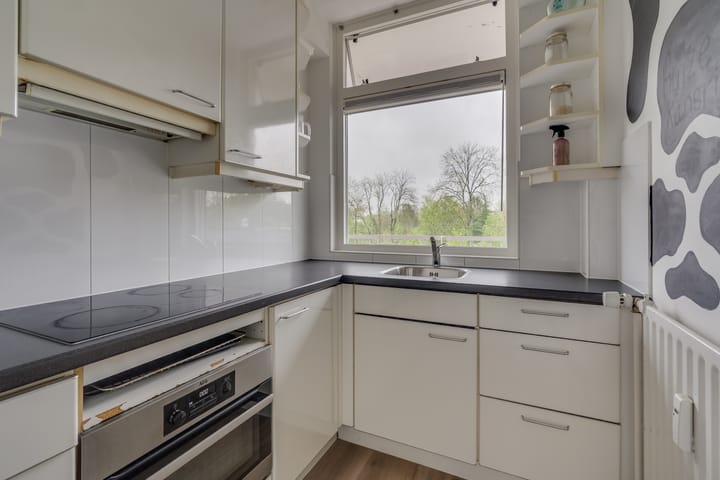 Foto 17 van Fruinplantsoen 81