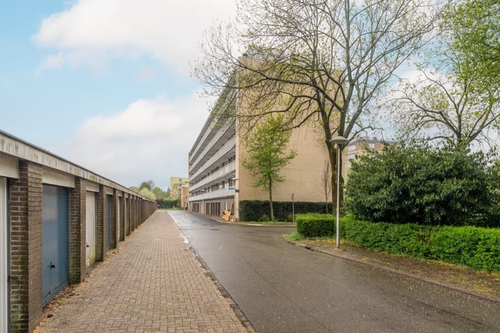 Foto 24 van Fruinplantsoen 81