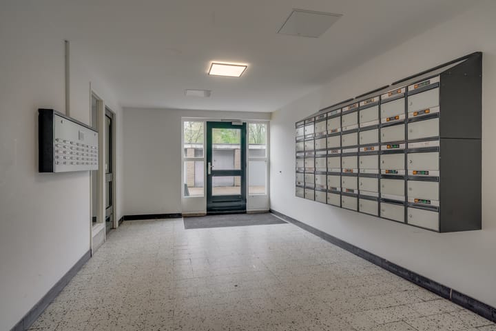 Foto 27 van Fruinplantsoen 81