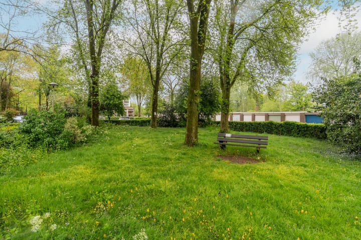 Foto 28 van Fruinplantsoen 81