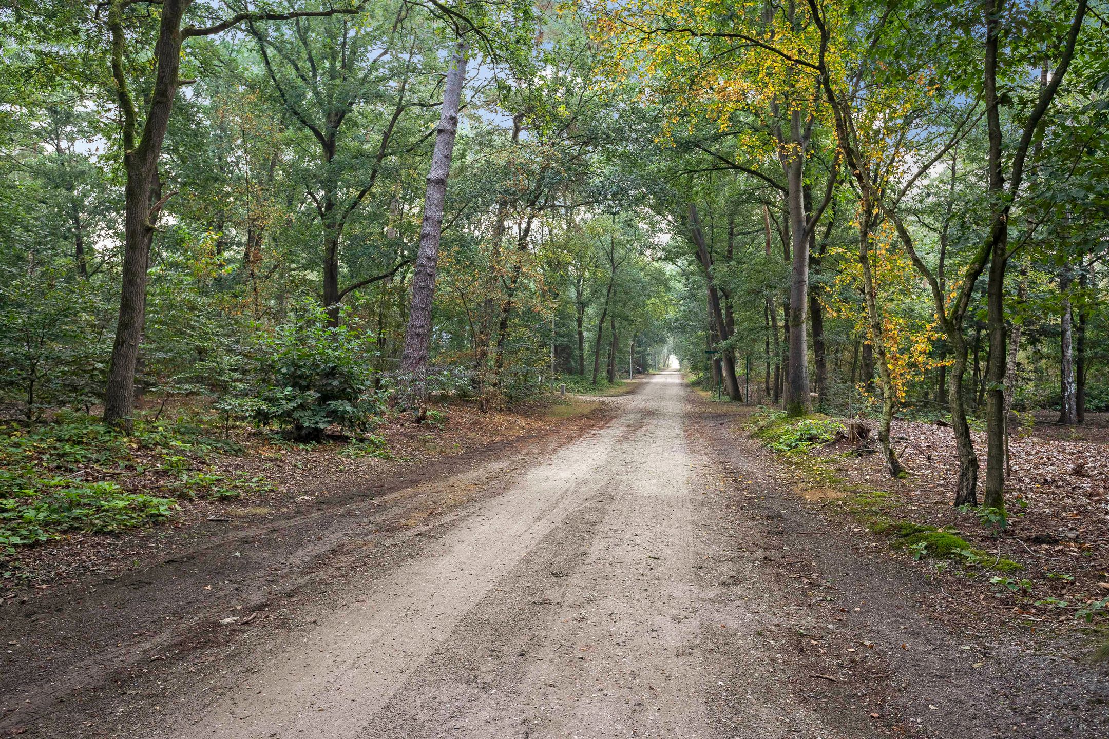 Foto 24 van Bosrand 26