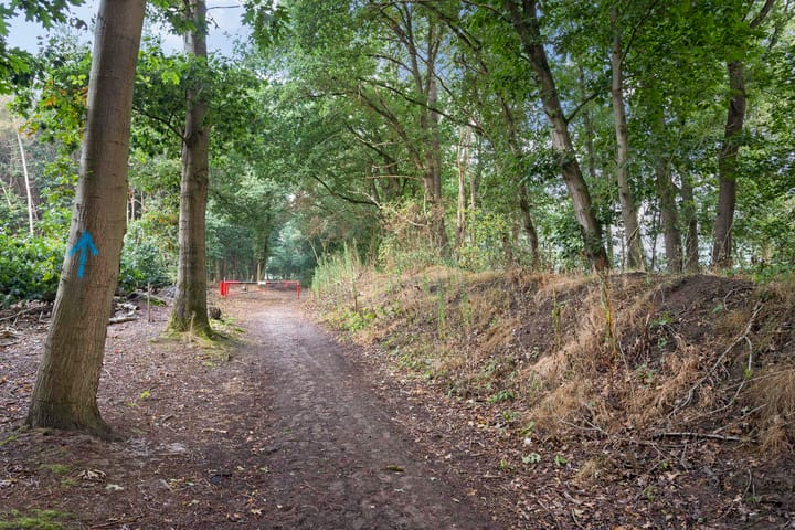 Foto 26 van Bosrand 26