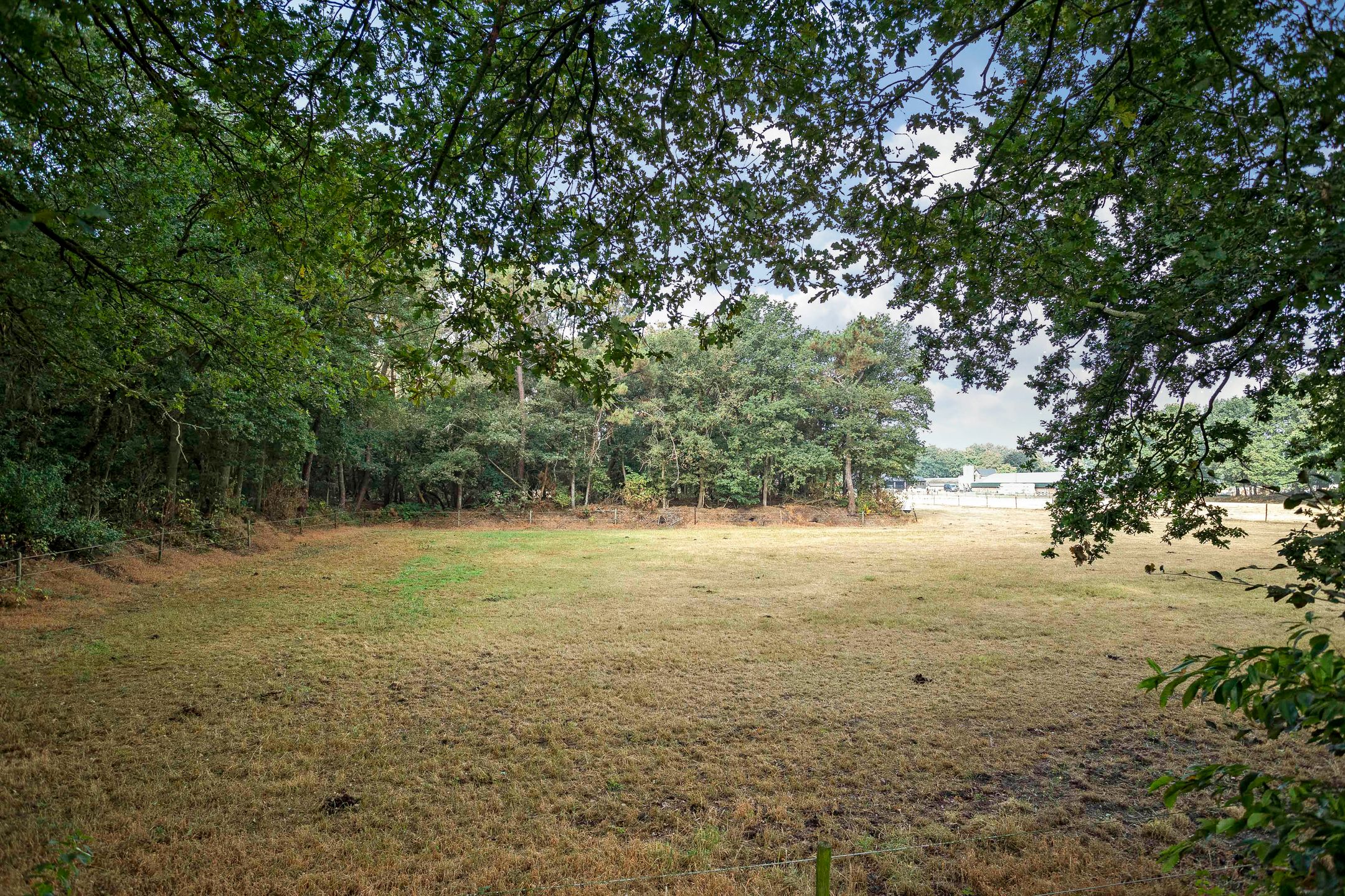 Foto 27 van Bosrand 26