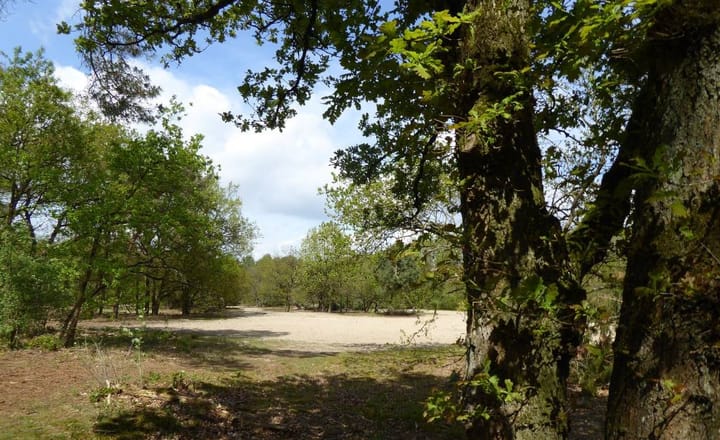 Foto 28 van Bosrand 26