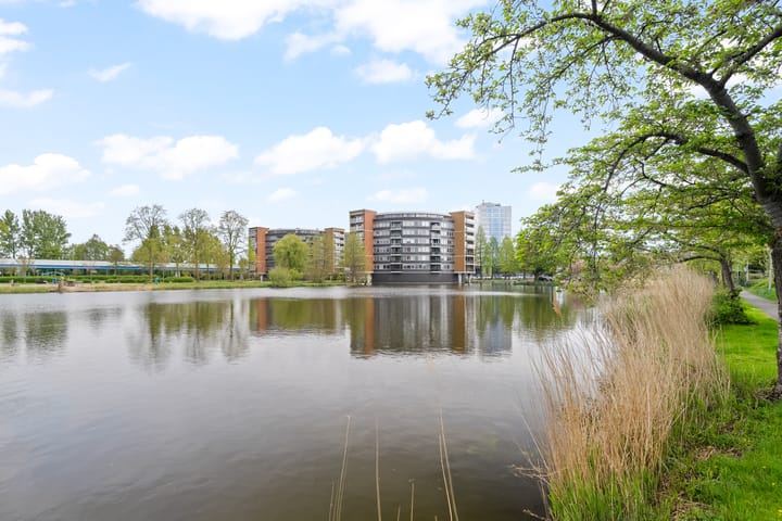 Foto 27 van Lijstersingel 86