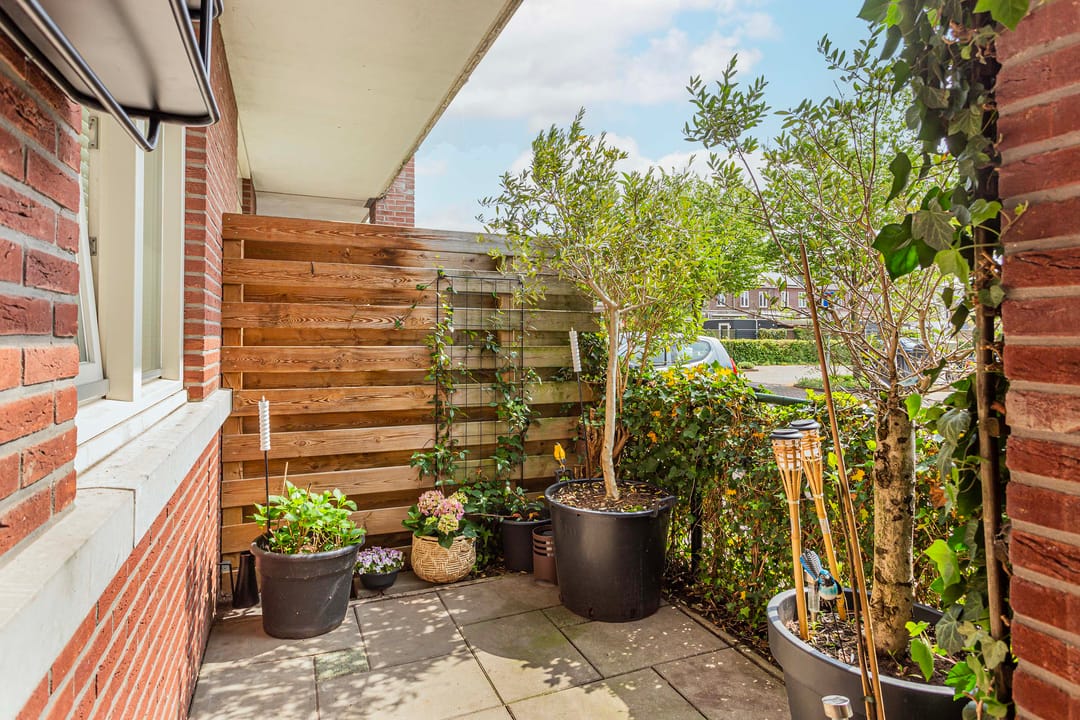 Foto 16 van Coelhorst 72