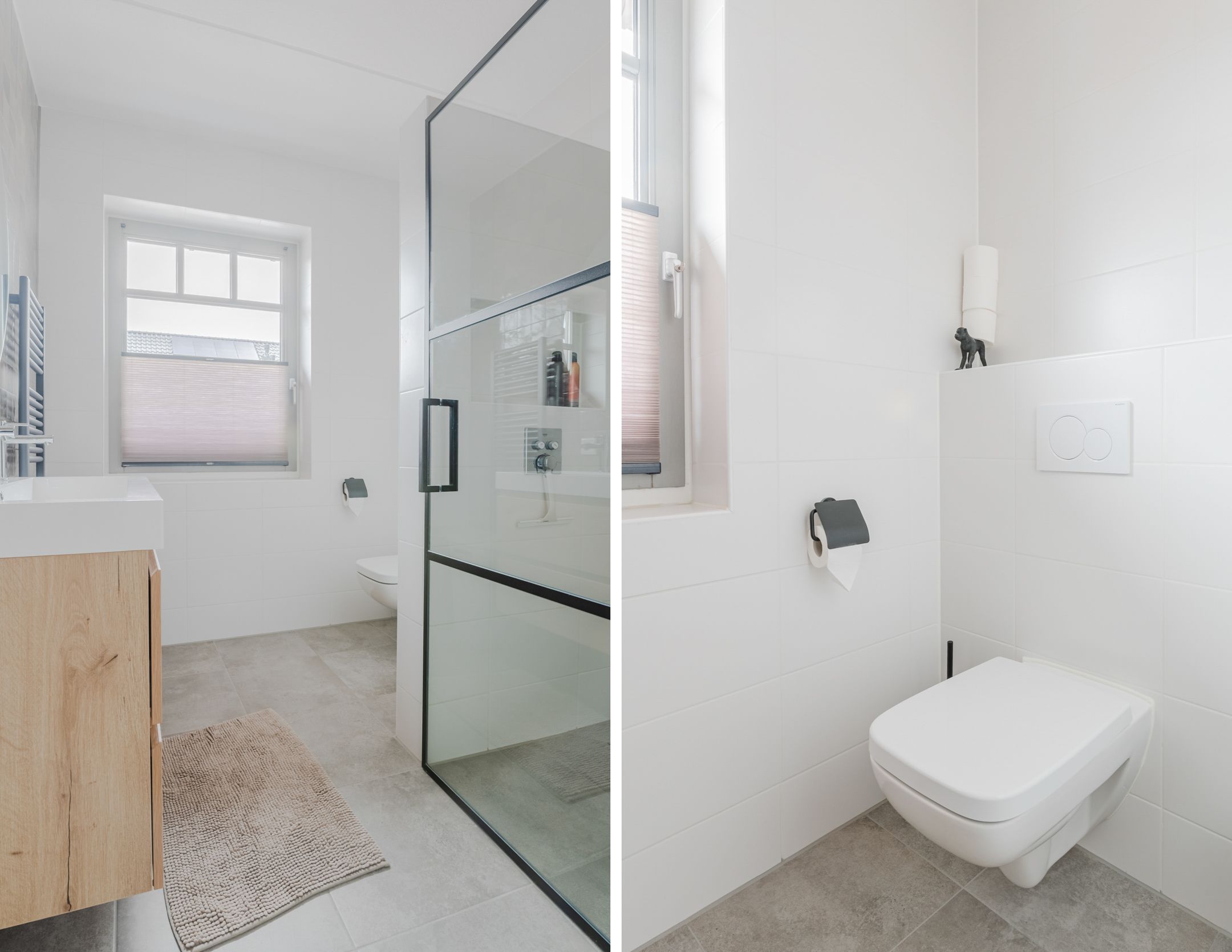 Photo 21 of Prinses Alexiastraat 10