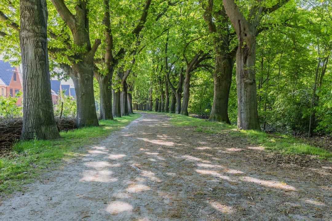 Photo 32 of Prinses Alexiastraat 10