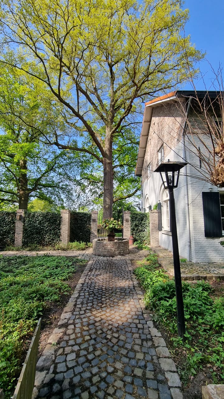 Foto 12 van Kanaaldijk 3