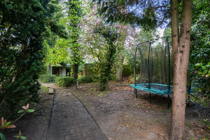 Foto 68 van Noorderstraat 11