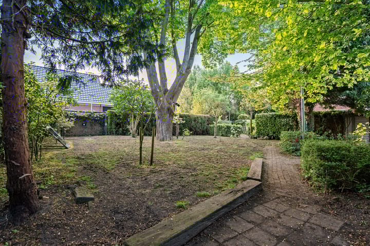 Foto 69 van Noorderstraat 11