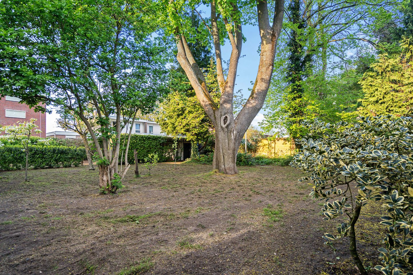 Foto 70 van Noorderstraat 11