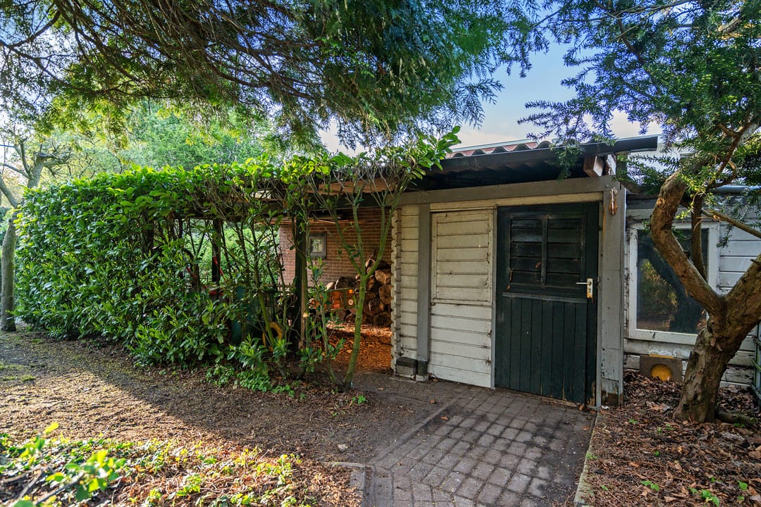 Foto 73 van Noorderstraat 11