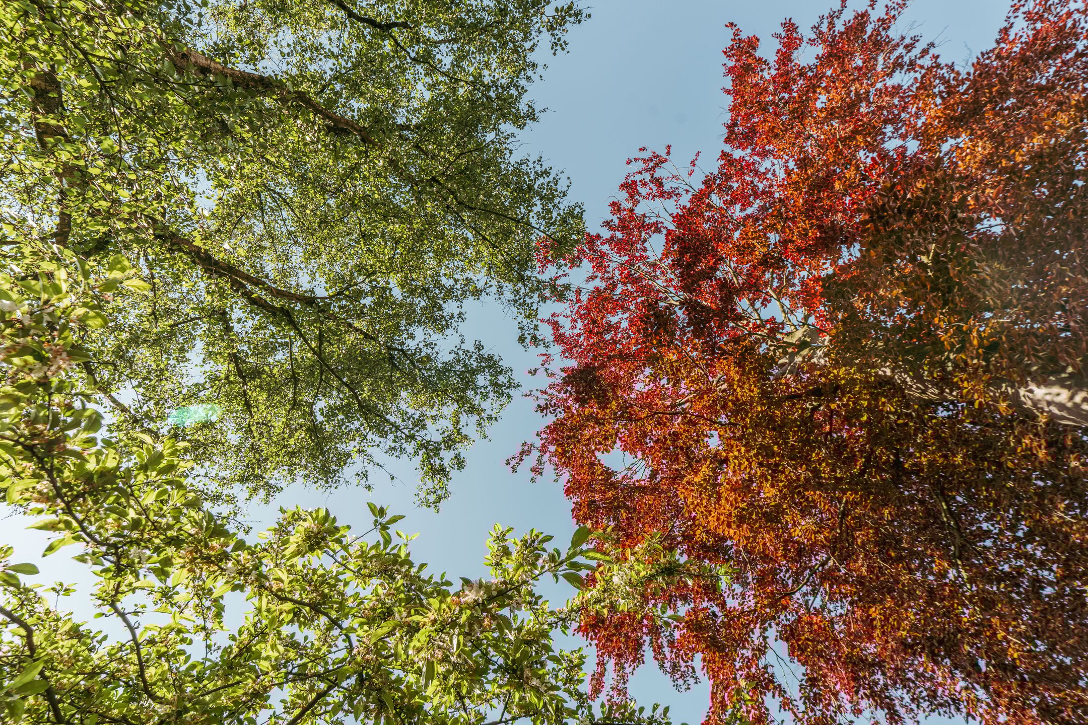 Foto 51 van Wibautlaan 7