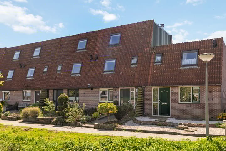 Foto 3 van Lijster 41