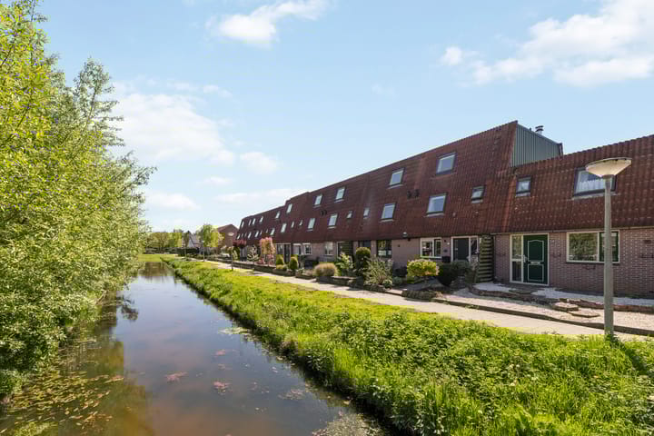 Foto 4 van Lijster 41