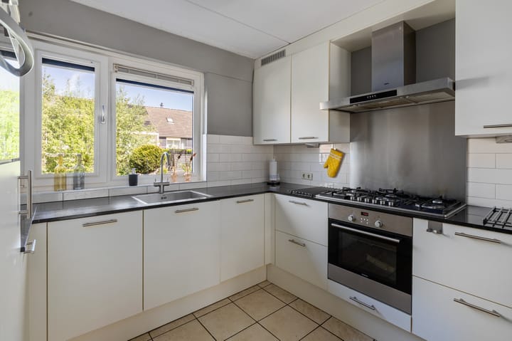 Foto 11 van Lijster 41