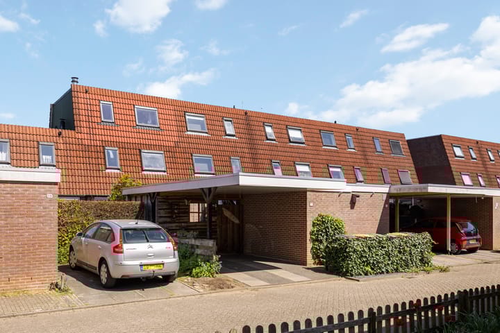 Foto 2 van Lijster 41