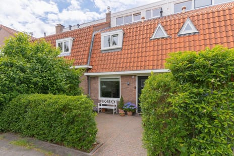 undefined main image