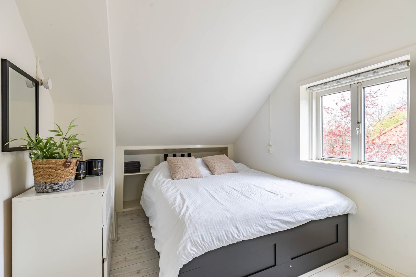 Foto 50 van Botanicuslaan 24