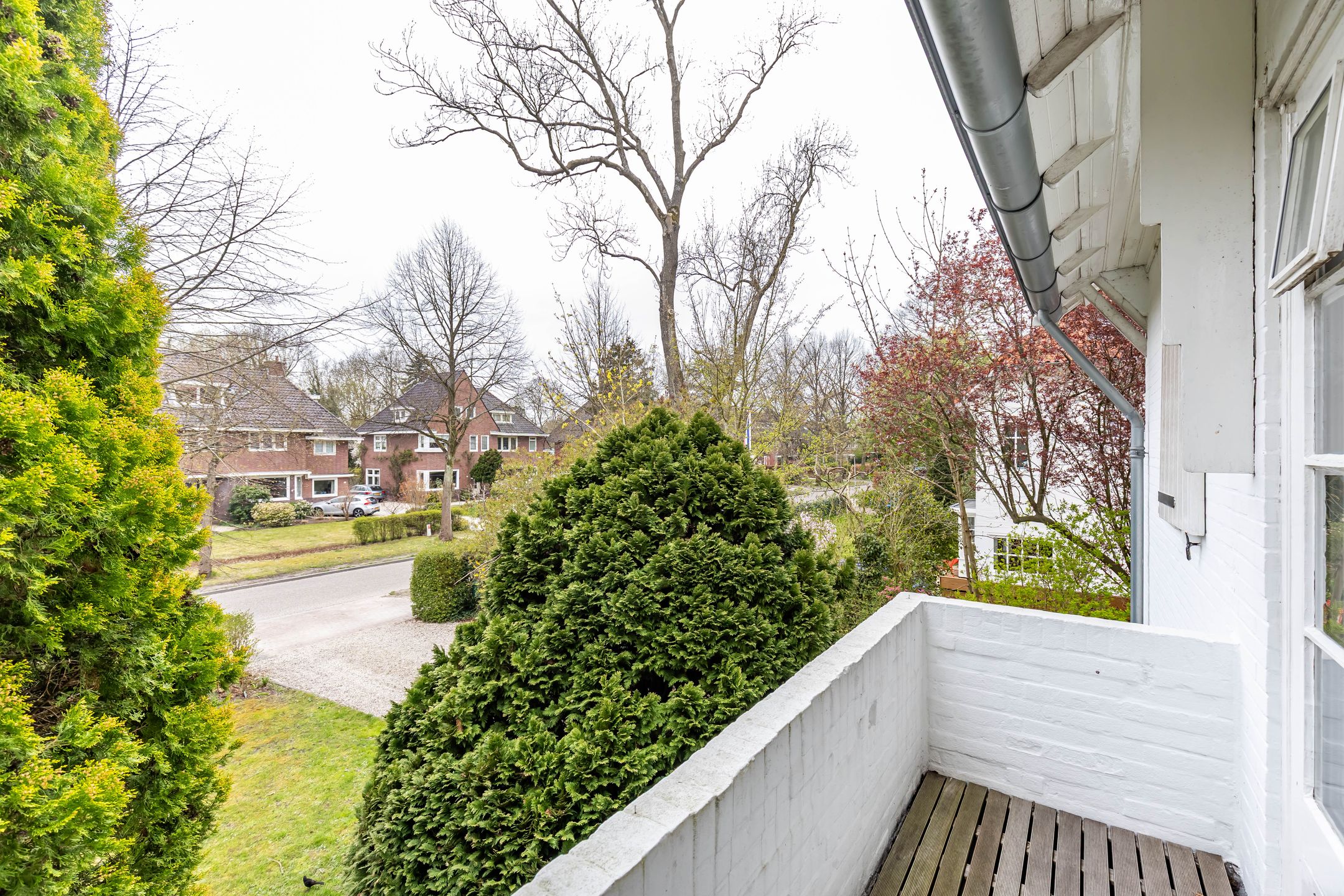 Foto 51 van Botanicuslaan 24